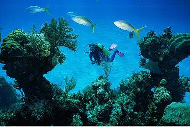 《神之亵渎2》实体典藏版公布 售价700元2024年春发售